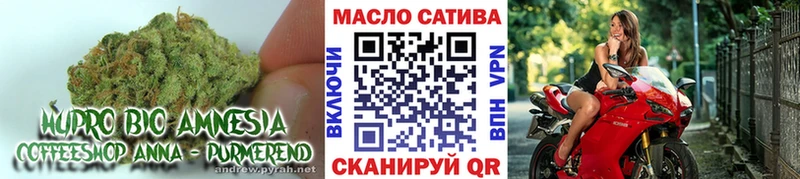 ТГК гашишное масло  Тында 