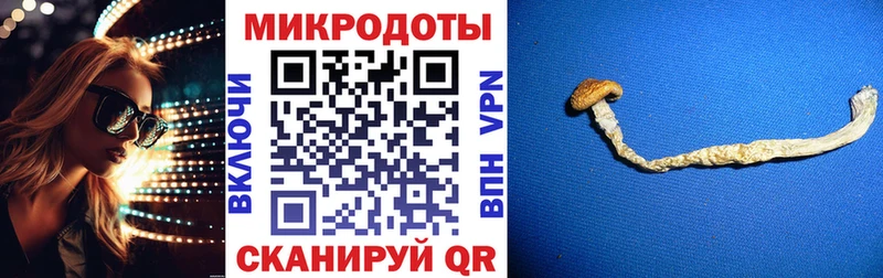 Псилоцибиновые грибы MAGIC MUSHROOMS  где продают наркотики  ссылка на мегу как зайти  Тында 